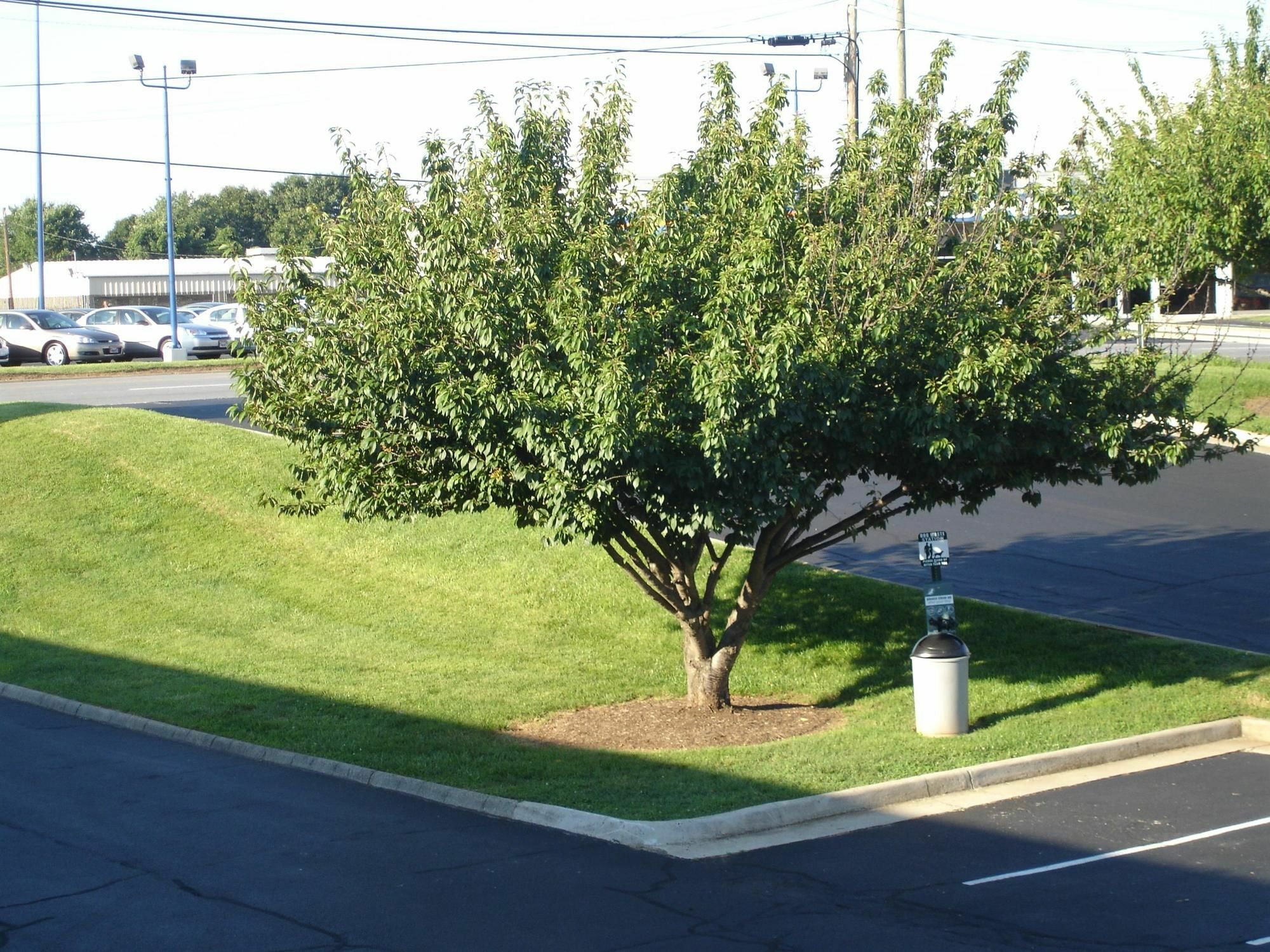 Baymont By Wyndham Lynchburg Motel Exterior photo